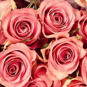 Meet your Posher, Aixa